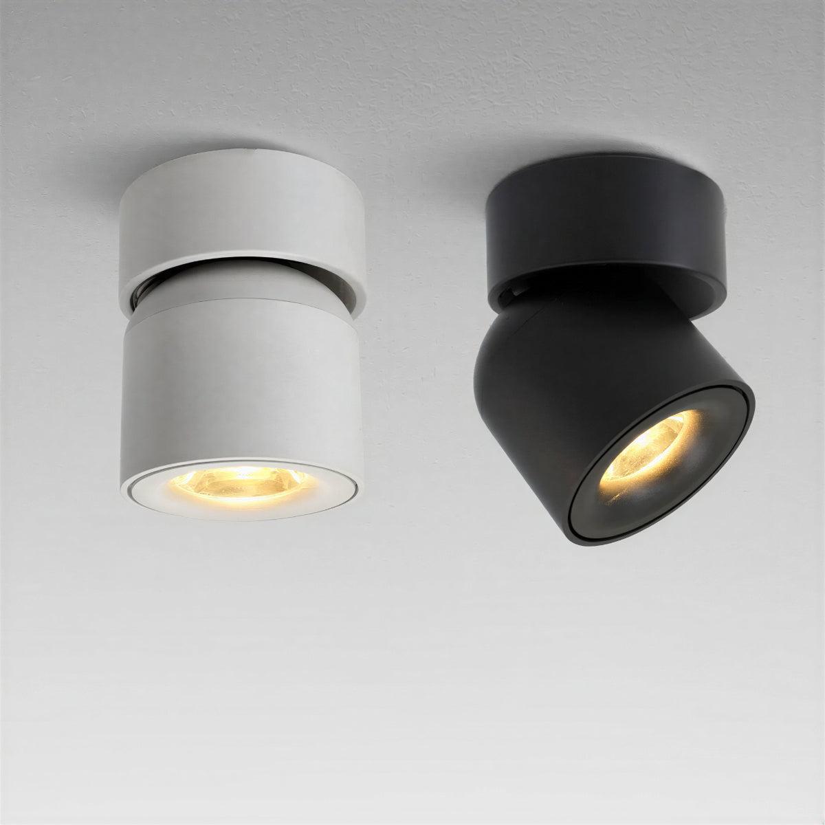 Modern Adjustable LED Ceiling Spotlight Flush Mount Fixture