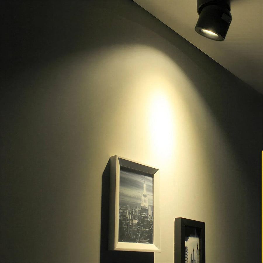 Modern Adjustable LED Ceiling Spotlight Flush Mount Fixture