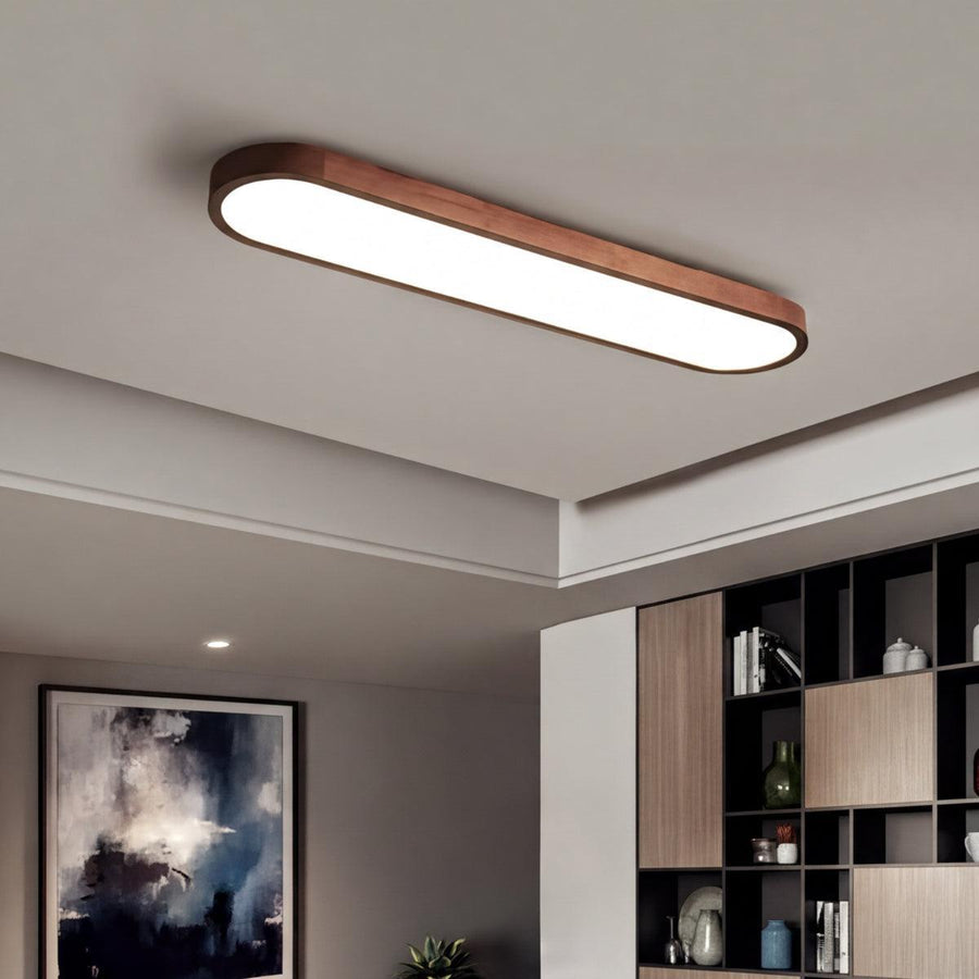 Ceiling Light